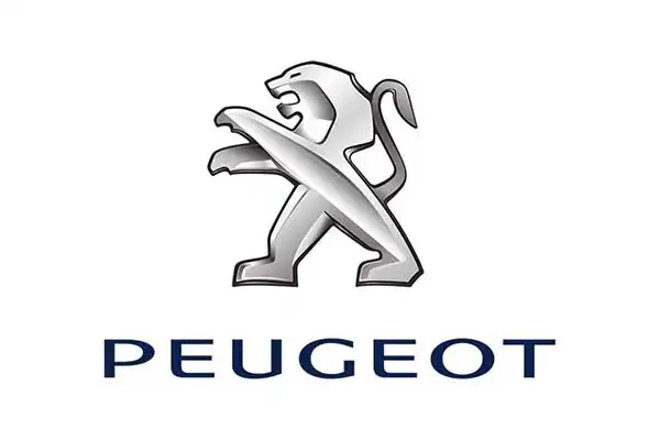 Bursa Peugeot Özel Servisi